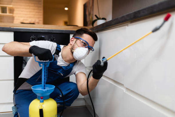 Best Flea Control Services  in Reform, AL