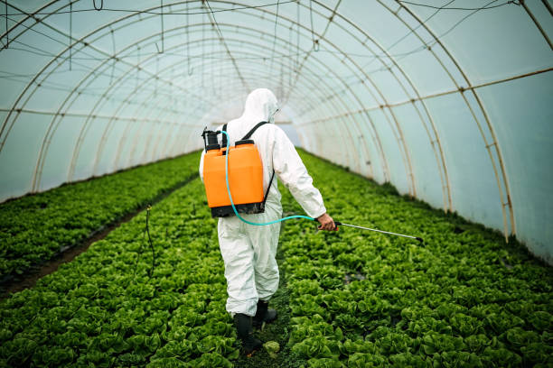 Best Pest Control Cost  in Reform, AL