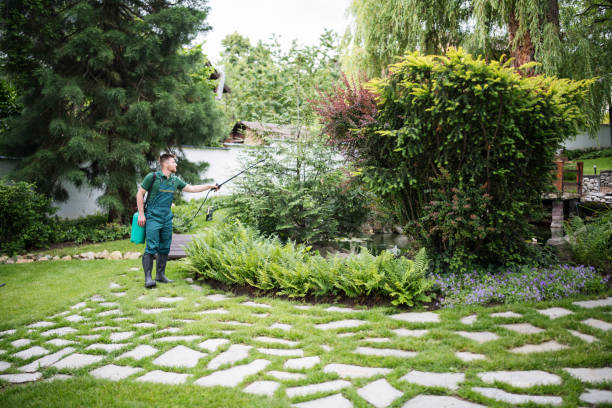 Professional Pest Control in Reform, AL