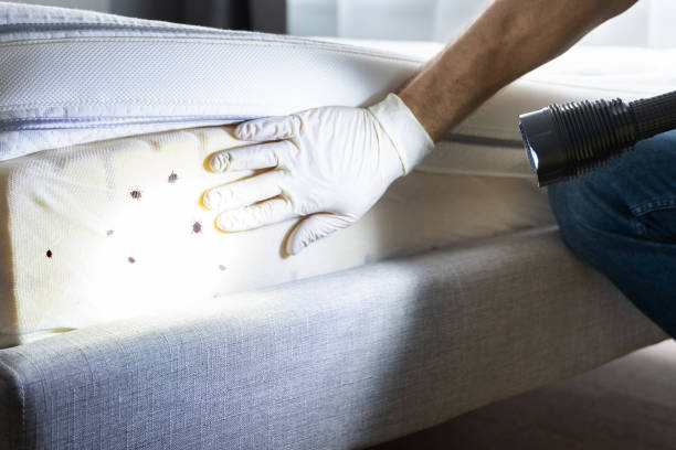 Pest Control Cost in Reform, AL