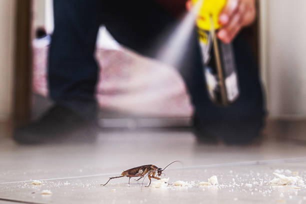 Pest Prevention Services in Reform, AL