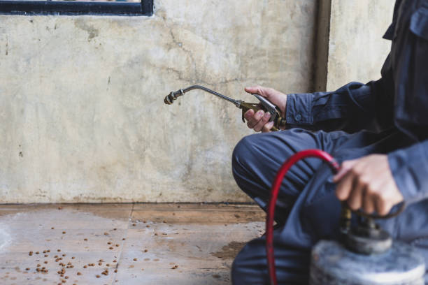 Best Best Pest Control Companies  in Reform, AL