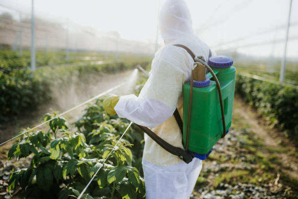  Reform, AL Pest Control Pros